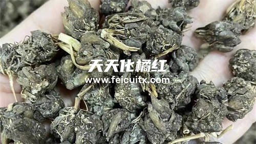 化橘红和猫爪草可以一起喝吗