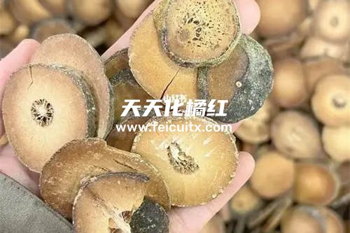 白参能与化橘红一起泡水吗