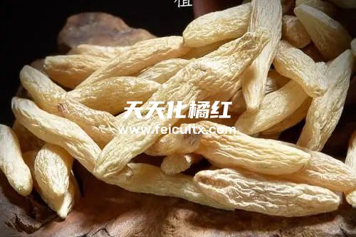 化橘红能和麦冬一起泡水喝吗